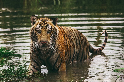 Photo by Frida Bredesen on Unsplash